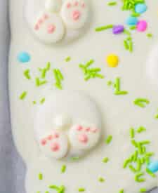 Bunny Butt Bark close up