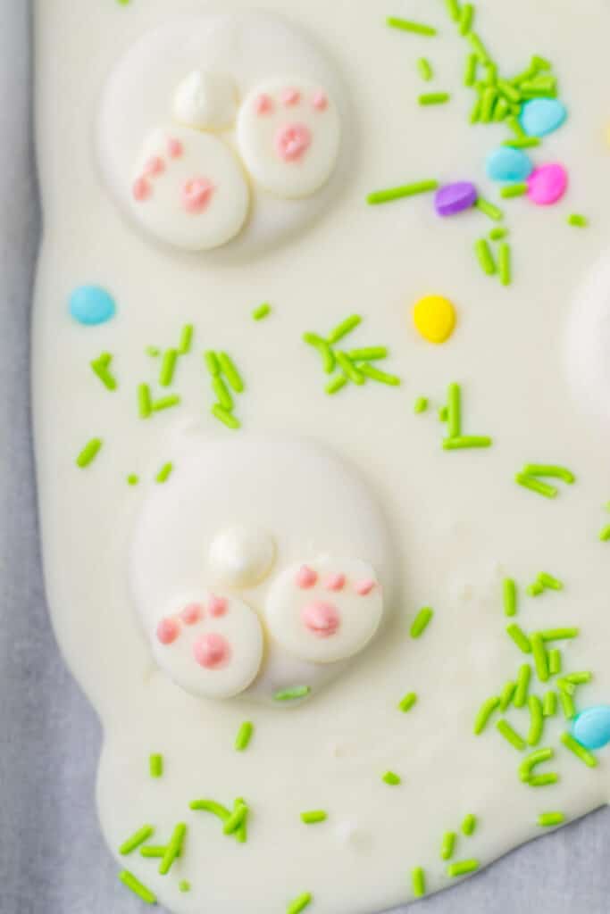 Bunny Butt Bark close up