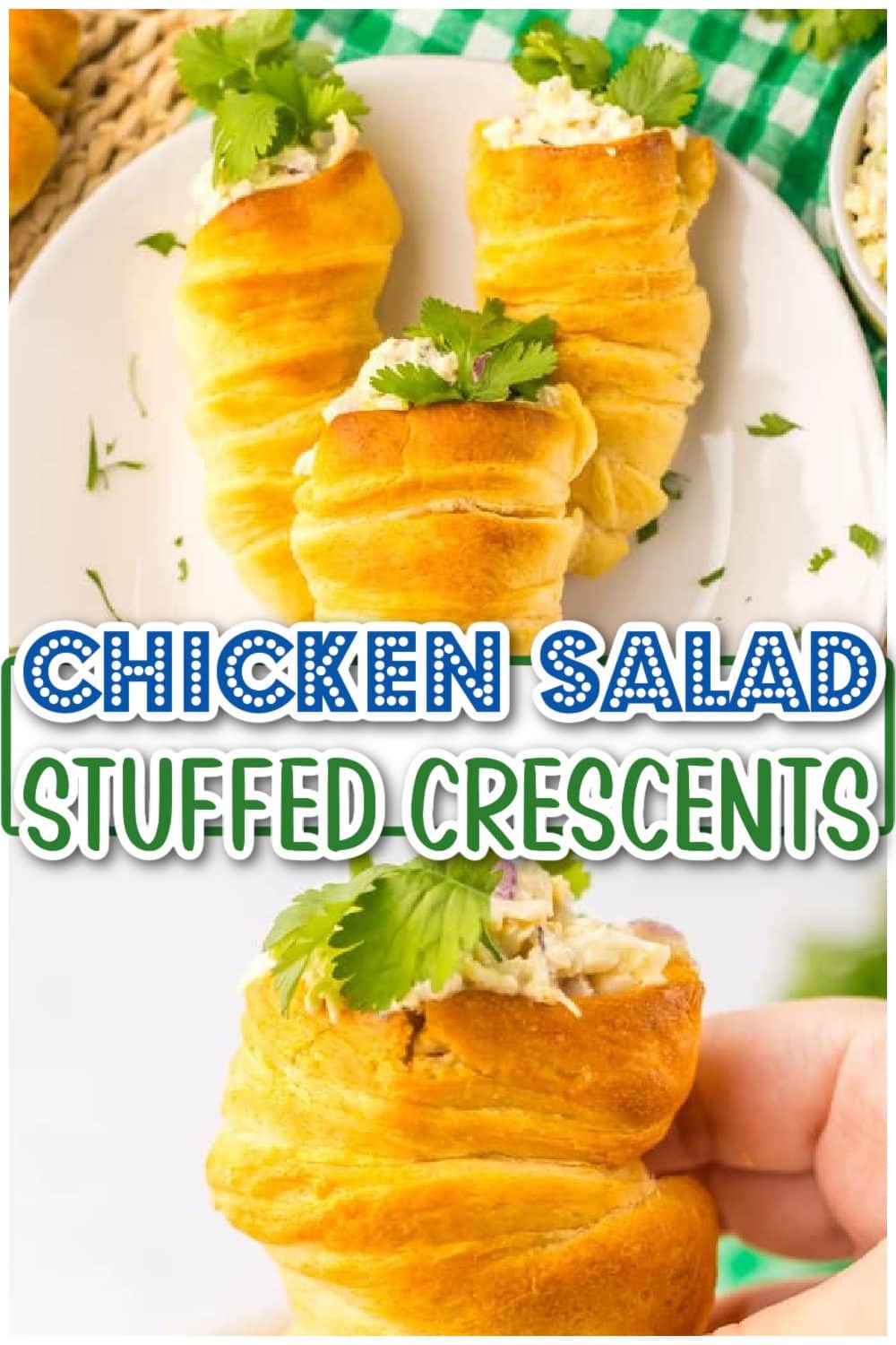 Chicken Salad Stuffed Crescents pin