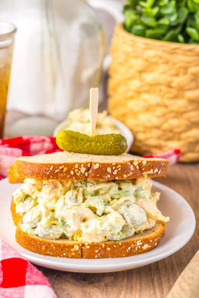 Pickle Chicken Salad plated