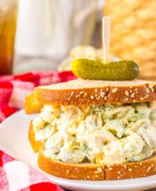 Pickle Chicken Salad plated