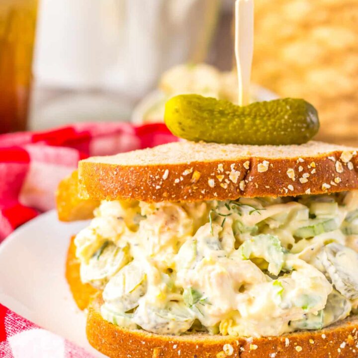 Pickle Chicken Salad plated