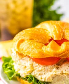 Copycat Chicken Salad Chicken Classic Chicken Salad plated