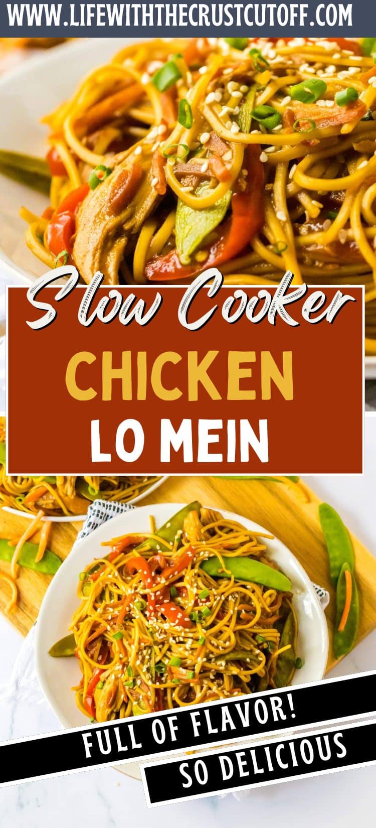 Slow Cooker Chicken Lo Mein pin