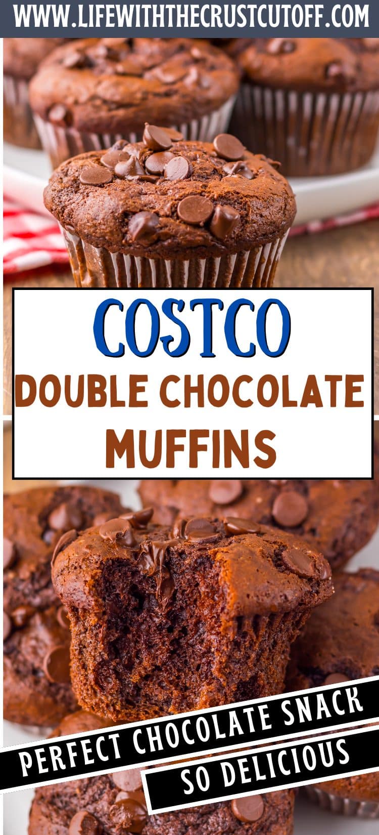 Costco double chocolate muffin with gooey chocolate chips and moist crumb texture