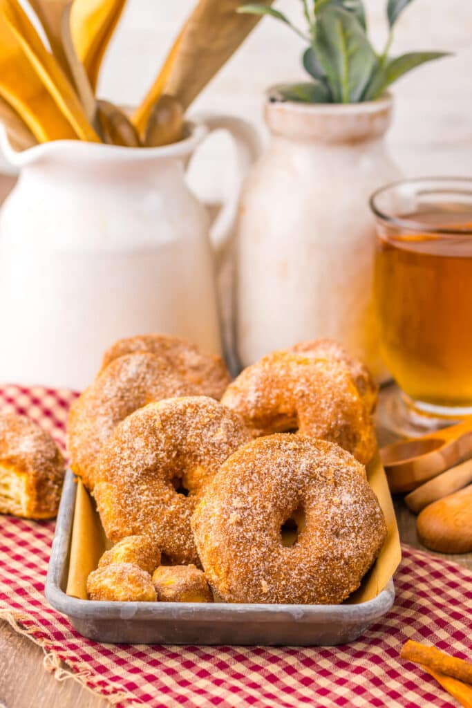 Cinnamon sugar apple cider doughnuts arranged in a circle on a plate