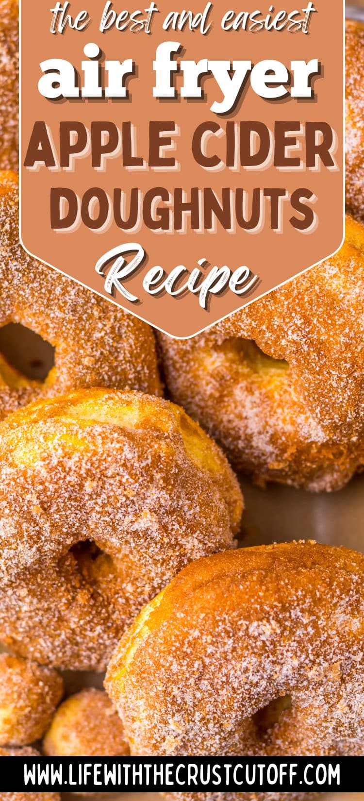 Air fryer apple cider doughnuts made with biscuit dough and cinnamon sugar