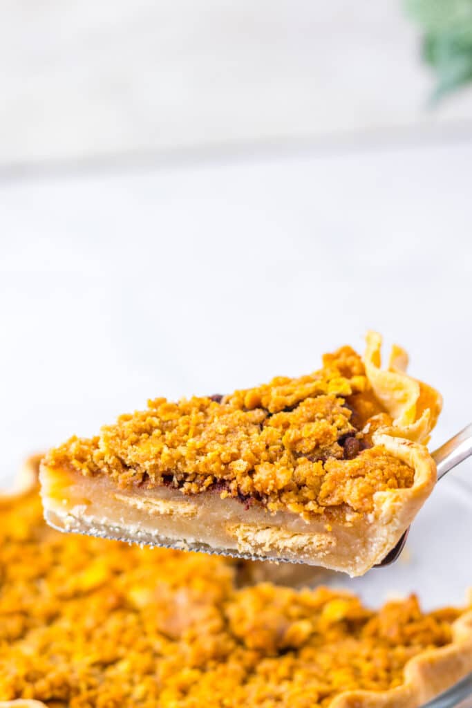 Close-up of a slice of mock apple pie showing layers of crust and filling