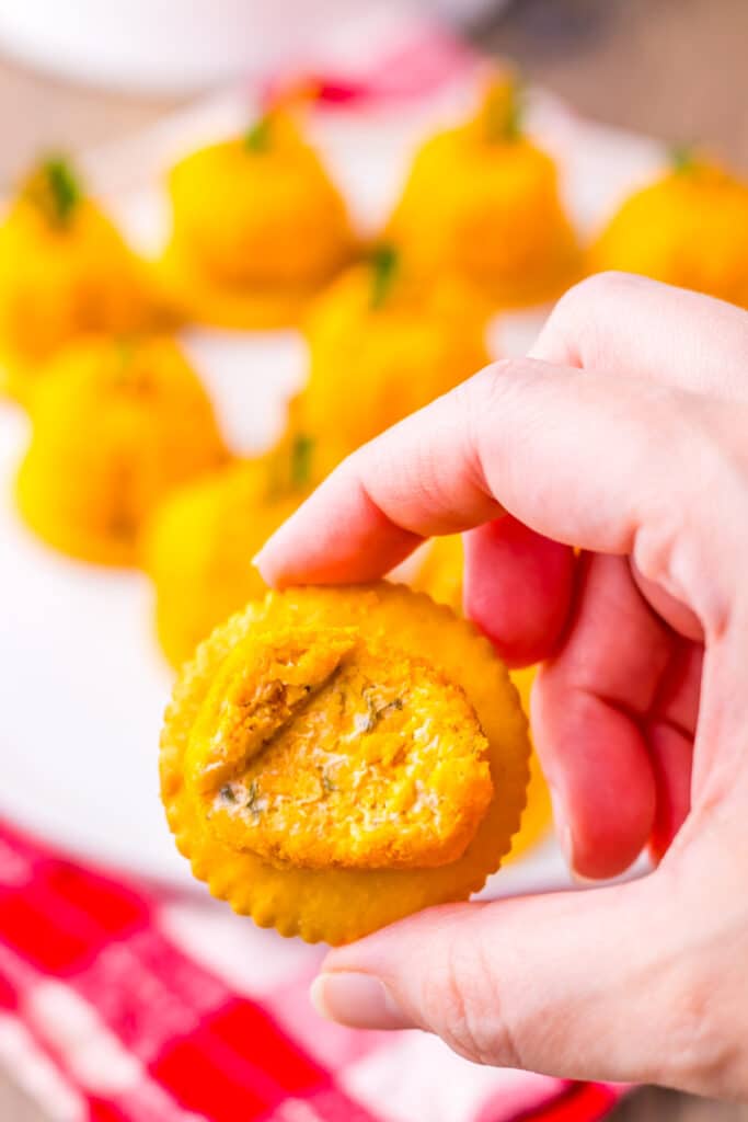 Close-up of mini pumpkin cheeseballs being held in hand.