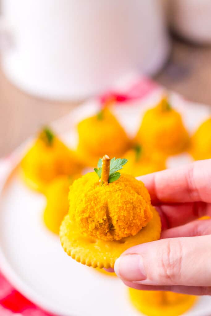 Close-up of mini pumpkin cheeseballs being held in hand.