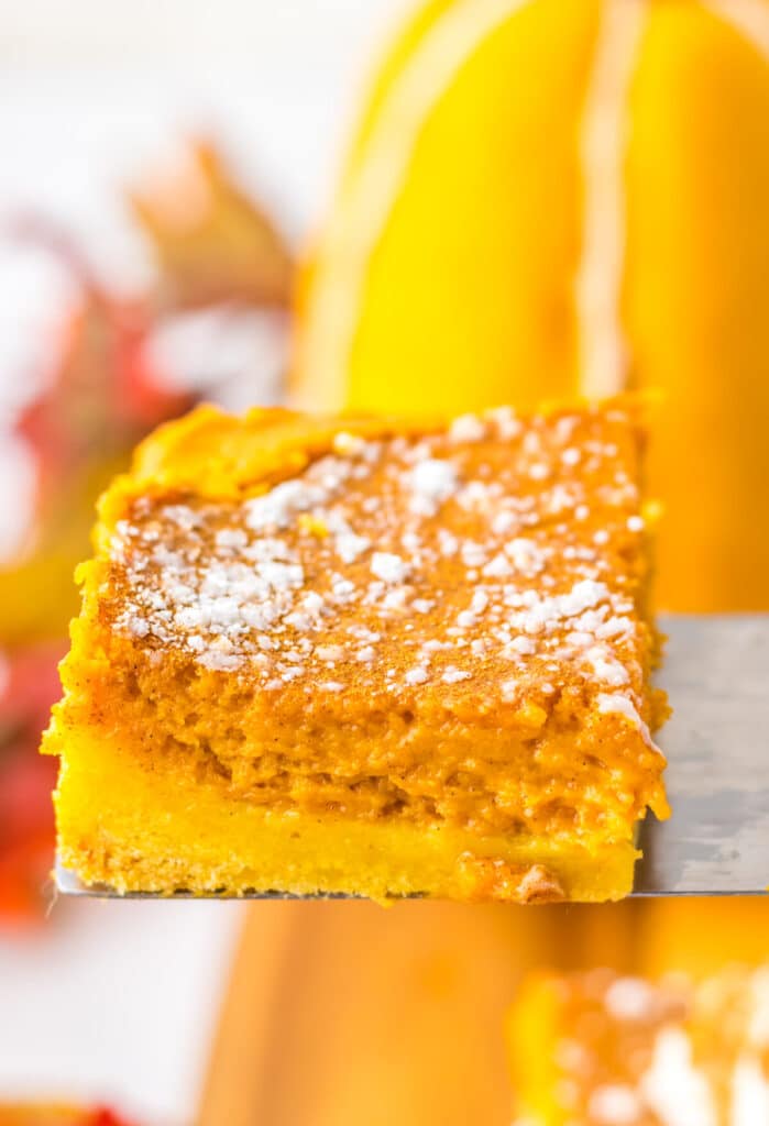 14. Close-up of pumpkin gooey butter bar layers with powdered sugar dusting.