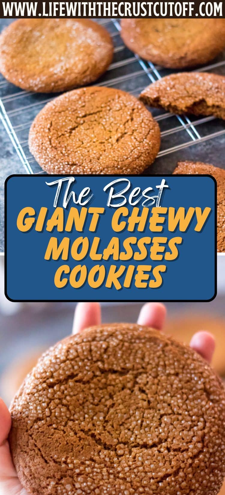 Large molasses cookies with crackled tops on a baking sheet.