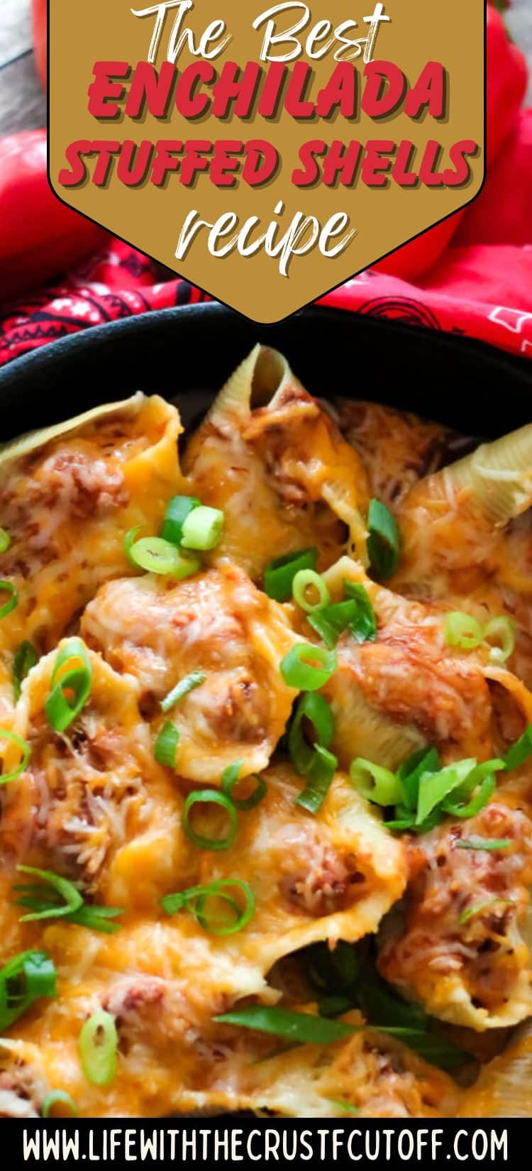 Plate of enchilada stuffed shells fresh from the oven with melted cheese and enchilada sauce