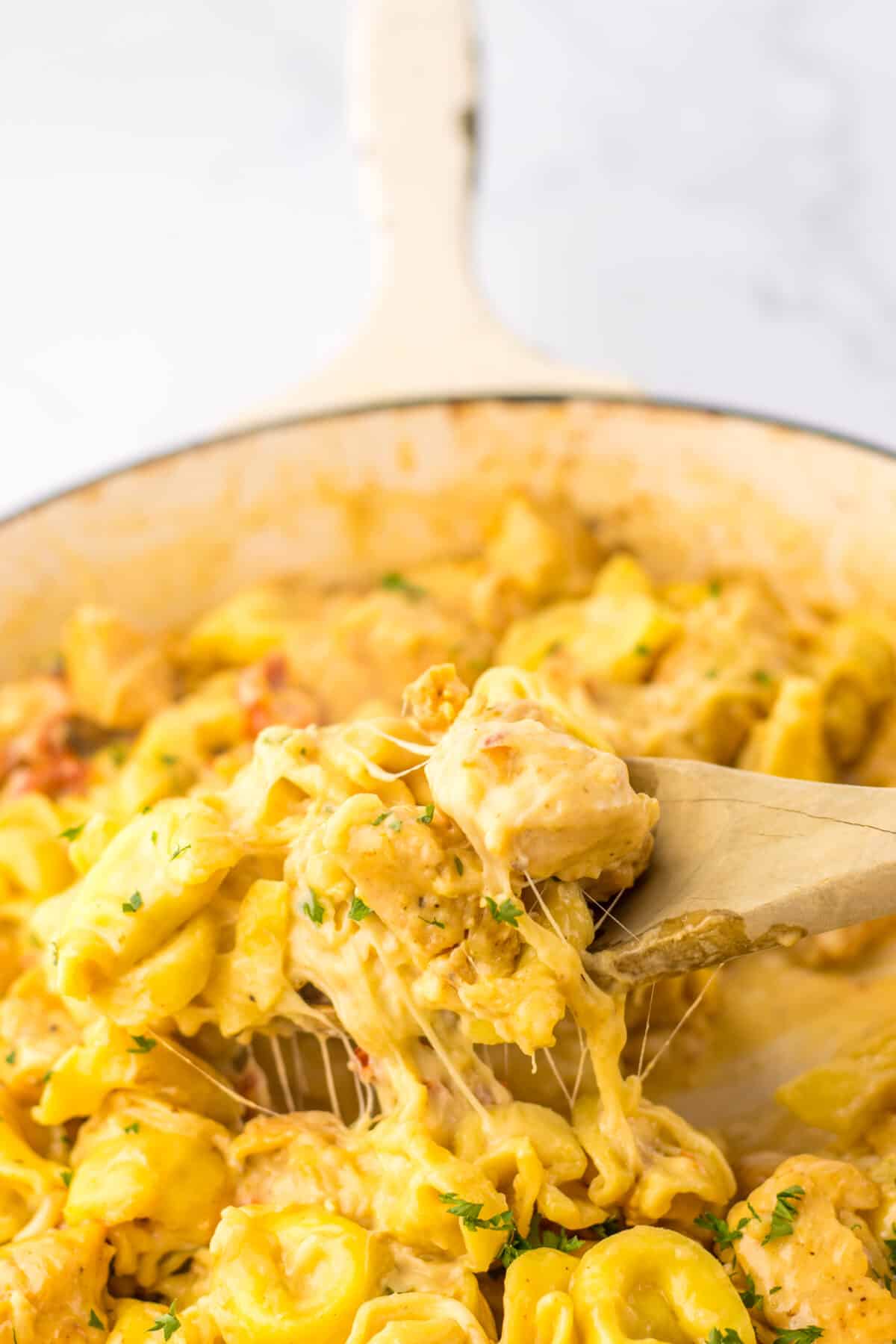 Close-up of cheesy marry me chicken tortellini with tender chicken