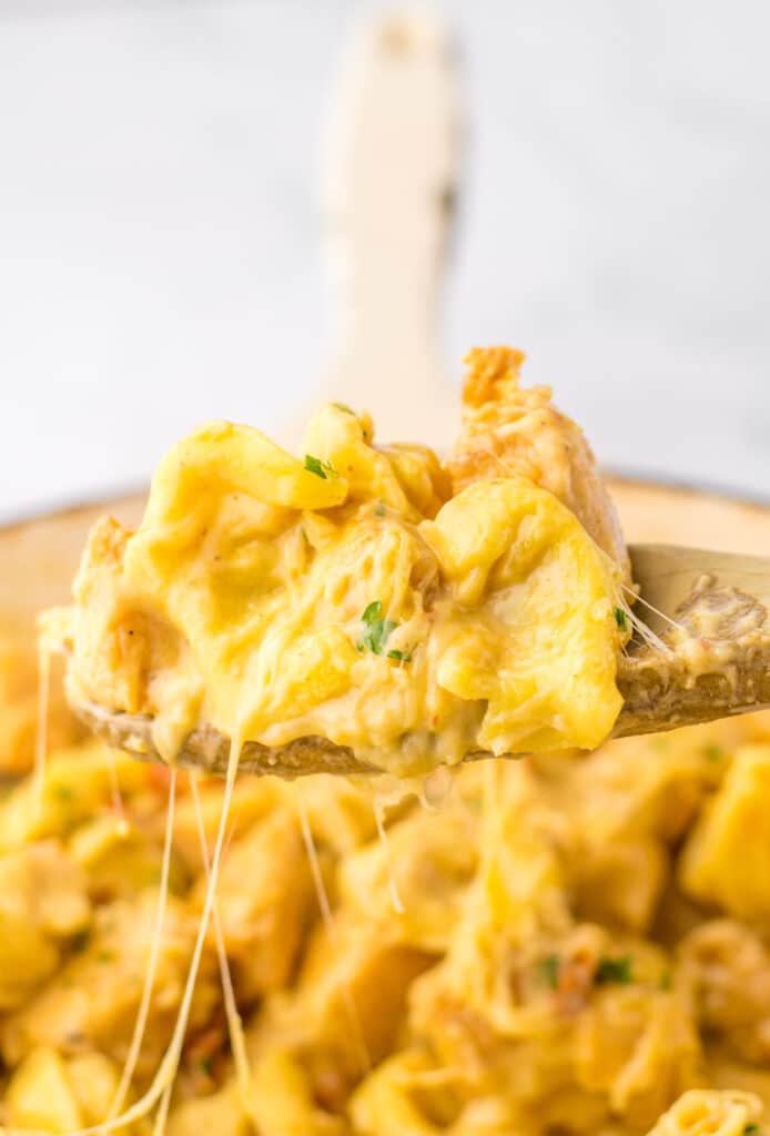 Close-up of cheesy marry me chicken tortellini with tender chicken