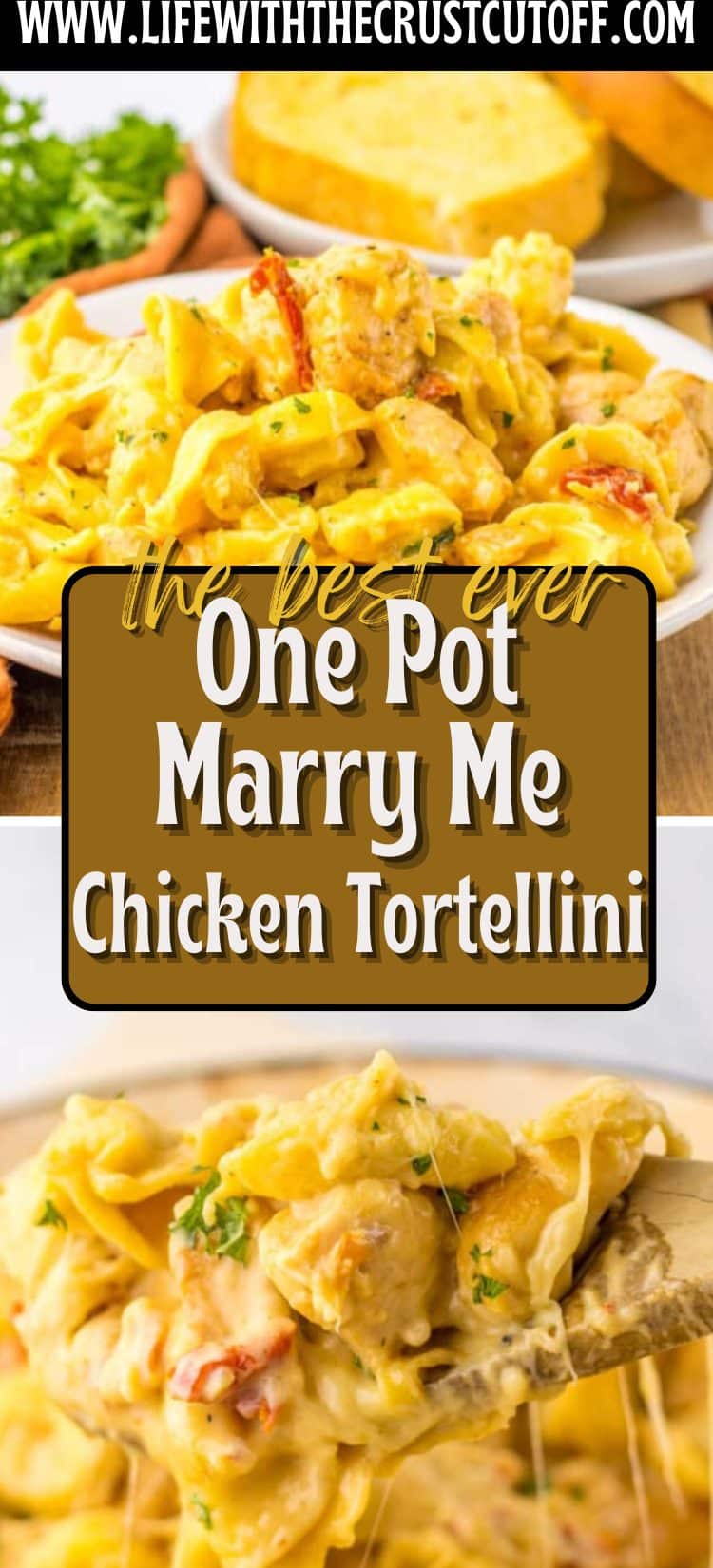 Close up of creamy marry me chicken tortellini pasta with parmesan and herbs