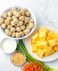 Ingredients for slow cooker nacho meatballs including frozen meatballs, Velveeta, Rotel, and seasonings.