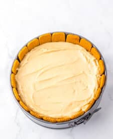 Smooth cheesecake filling ready for chilling in the pan.