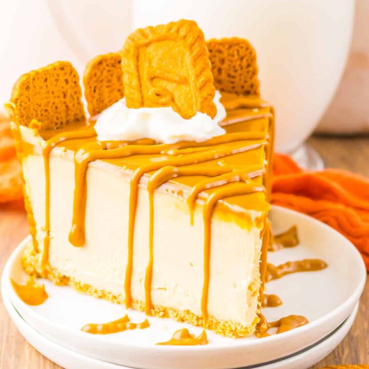 No bake cheesecake slice with cookie butter drizzle and whipped topping.