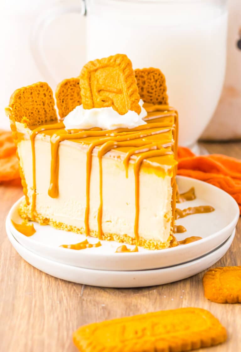 No bake cheesecake slice with cookie butter drizzle and whipped topping.