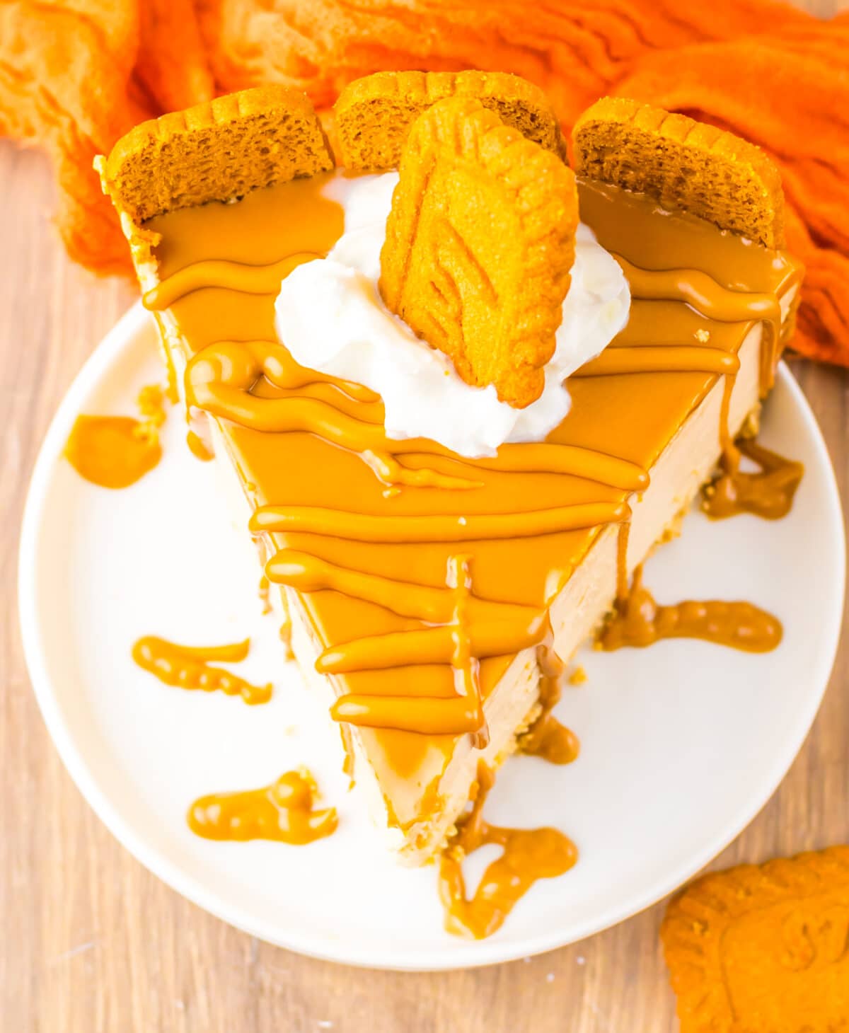 Slice of cookie butter cheesecake drizzled with melted cookie butter and topped with whipped cream.