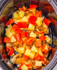 Chicken breasts seasoned and prepared for slow cooking.