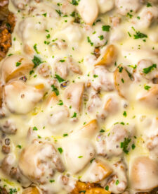 Tender beef and potatoes coated in creamy French onion sauce with melted provolone cheese.