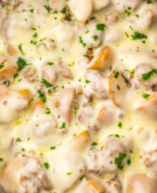 Tender beef and potatoes coated in creamy French onion sauce with melted provolone cheese.