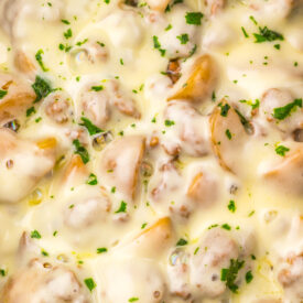 Tender beef and potatoes coated in creamy French onion sauce with melted provolone cheese.