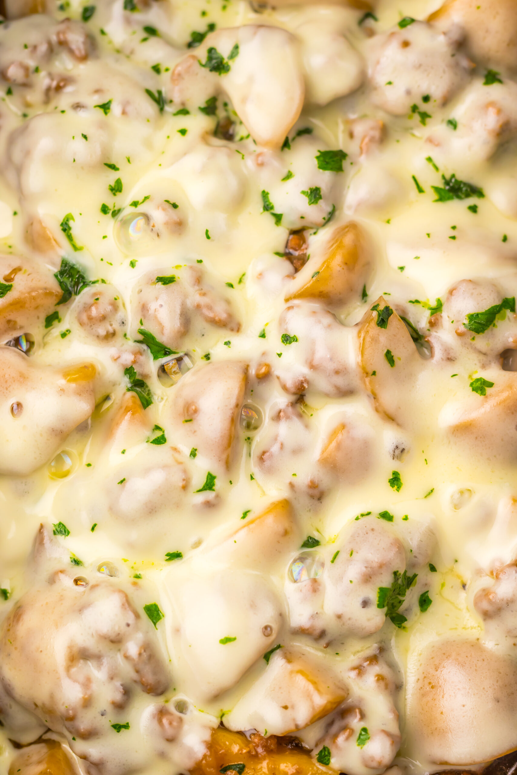 Tender beef and potatoes coated in creamy French onion sauce with melted provolone cheese.