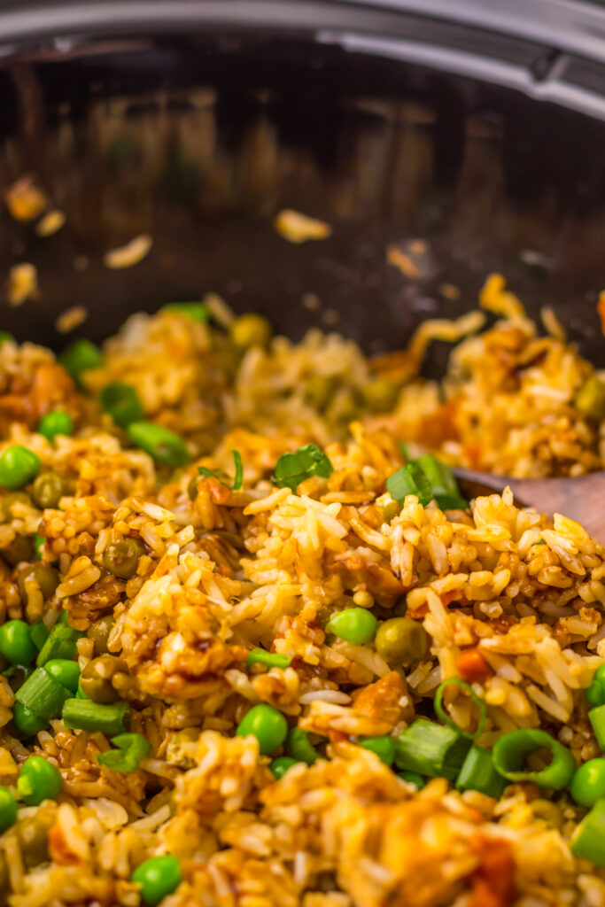 Slow Cooker Chicken Fried Rice topped with green onions and ready to serve.